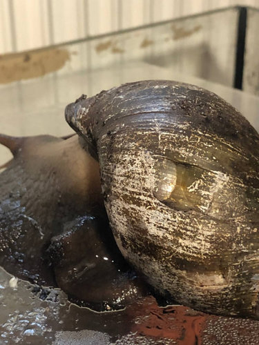 photo_2021-12-30 14.36.51.jpeg