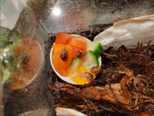 20211209_171239 (1)j.jpg