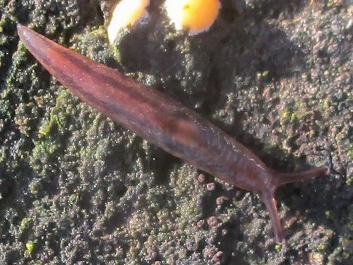 20201216_6191a.jpg