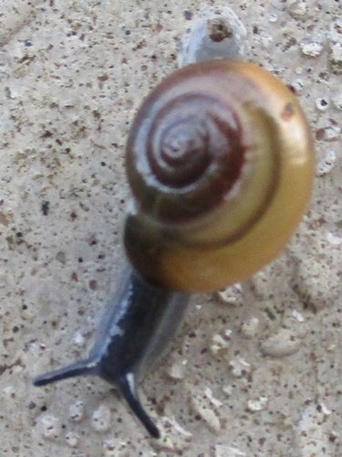20201216_6211a.jpg