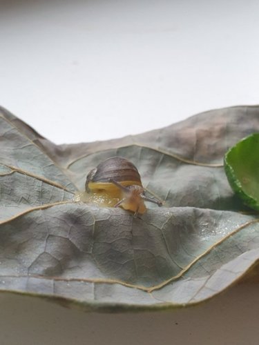 5JN5lJ2i.jpg small.jpeg