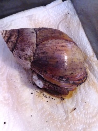 IMG_20220126_151410.jpg