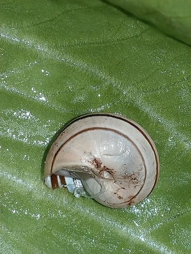 IMAG2954.jpg