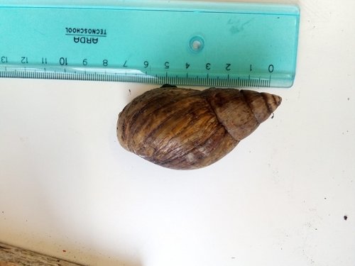 WhatsApp Image 2022-02-20 at 18.32.17.jpeg