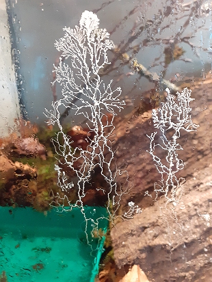20220121_131251.jpg