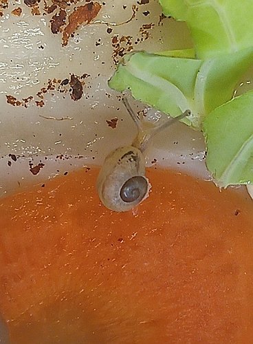 IMG_20220115_114848_644_2 (1).jpg