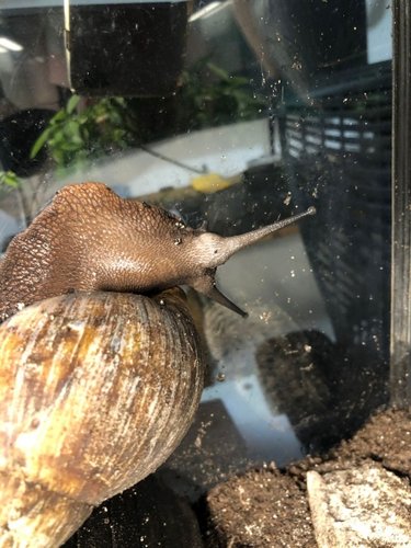 WhatsApp Image 2022-04-25 at 16.42.48.jpeg