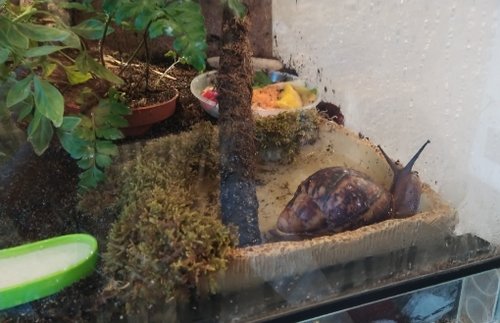 in der Badewanne.jpg