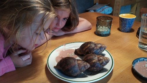 Schneckis & Mila & Jana.jpg