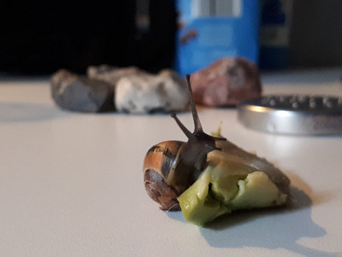 20220524_180337.jpg