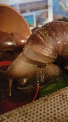 20220523_203648.jpg