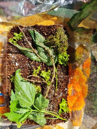 20220606_093919.jpg