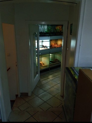 IMG_20220608_084053.png