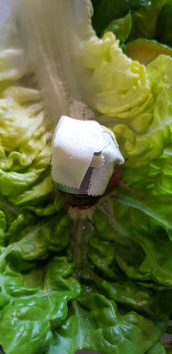 20220616_120127.jpg