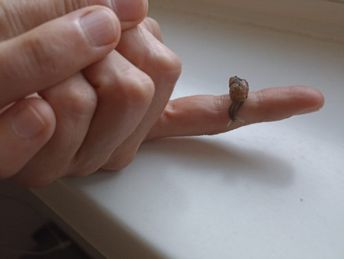 WhatsApp Image 2022-06-16 at 19.45.04.jpeg