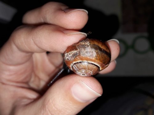 WhatsApp Image 2022-06-17 at 22.22.17 (1).jpeg