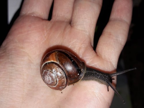 WhatsApp Image 2022-06-17 at 22.22.18.jpeg