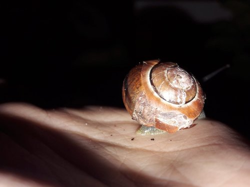 WhatsApp Image 2022-06-17 at 22.22.18 (1).jpeg