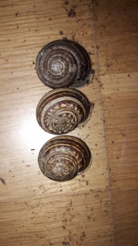 WhatsApp Image 2022-08-29 at 10.45.24.jpeg