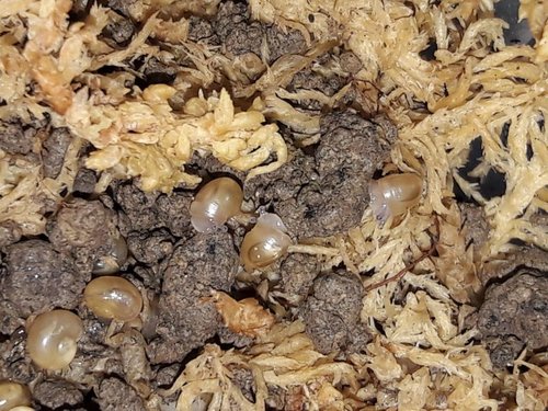 WhatsApp Image 2022-08-02 at 08.20.54.jpeg