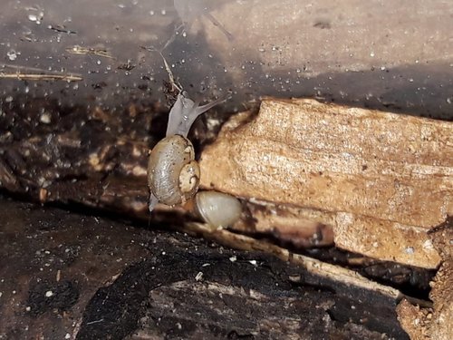 WhatsApp Image 2022-08-29 at 10.36.28.jpeg