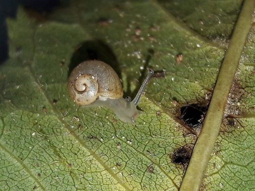 WhatsApp Image 2022-08-29 at 09.49.02.jpeg