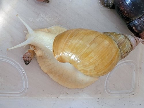 Elsa-mit-Anton-(2).jpg