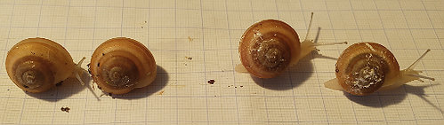 IMG_20220907_071423_364 1.jpg