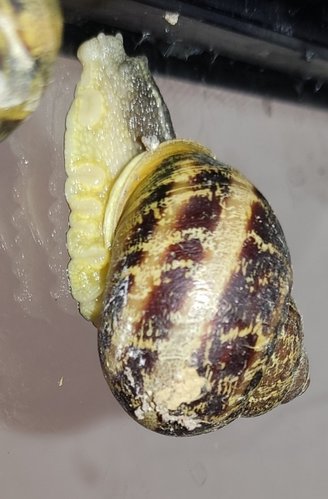IMG_20221003_195825.jpg