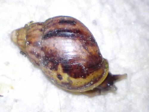 Ü-EI 18.08.09 04.jpg