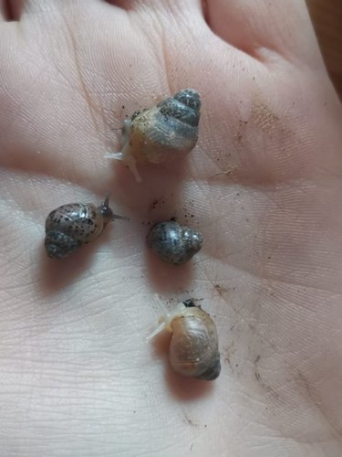 IMG-20230105-WA0002 (2).jpg