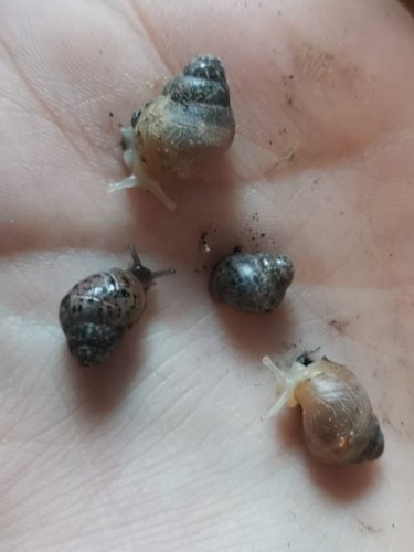 IMG-20230105-WA0008 (2).jpg