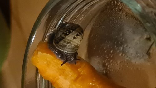 20230221_210508.jpg