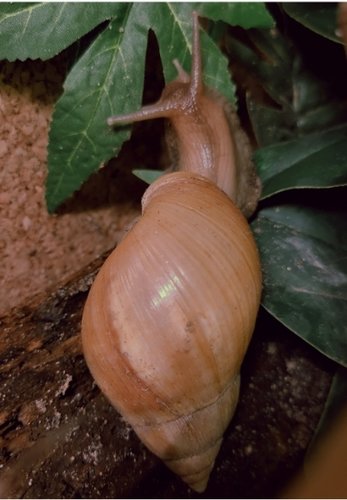 SmartSelect_20230413_205340_Gallery.jpg