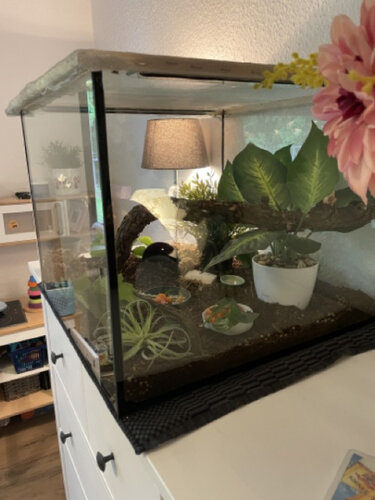 Mittel (IMG_9343).jpeg