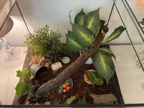 Mittel (IMG_9346).jpeg