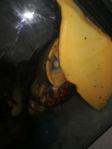 WhatsApp Bild 2023-07-16 um 23.58.45.jpg