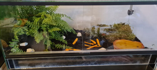 photo_2023-07-21_07-05-24 (2).jpg