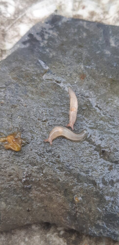 WhatsApp Image 2023-10-11 at 13.06.05.jpeg