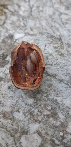 WhatsApp Image 2023-10-27 at 21.23.53.jpeg