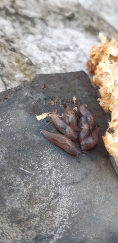 WhatsApp Image 2023-10-27 at 21.24.59.jpeg