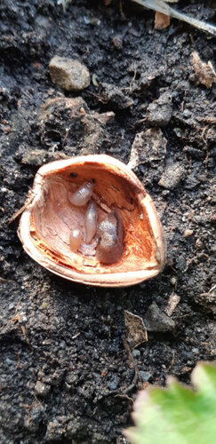 WhatsApp Image 2023-10-30 at 16.09.00.jpeg