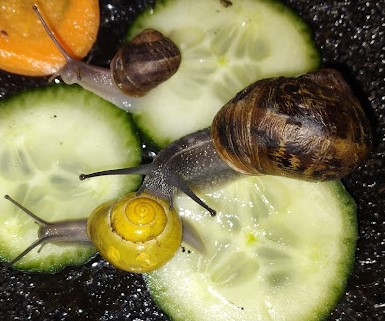 Screenshot 2024-01-08 220155.jpg