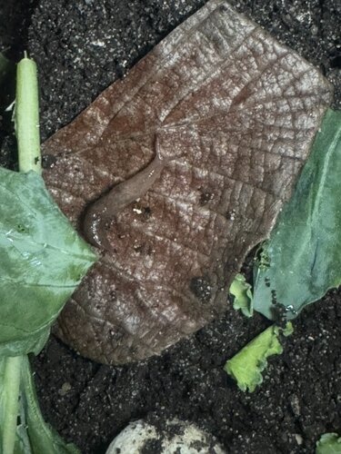 IMG_4217 - Kopie.jpeg