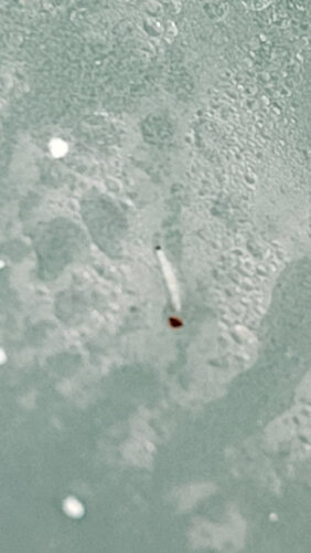 20240408_174436.jpg