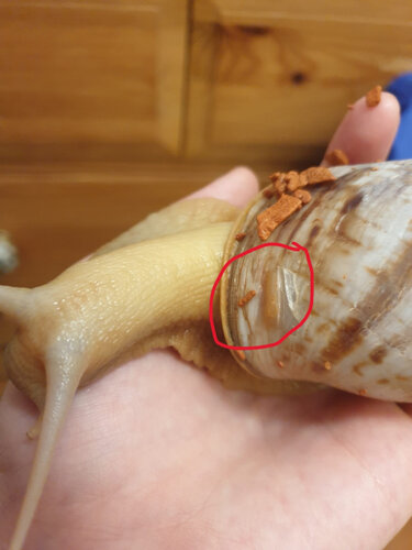 WhatsApp Image 2024-07-23 at 22.47.51 (4).jpeg