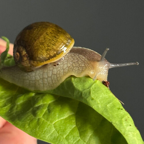 2025-04-02 20.36.31.jpg