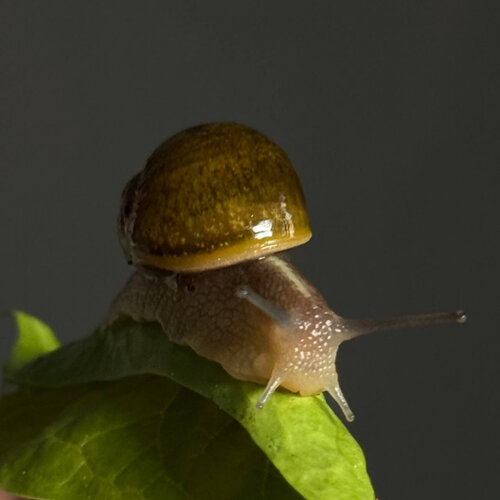 2025-04-02 20.36.44.jpg