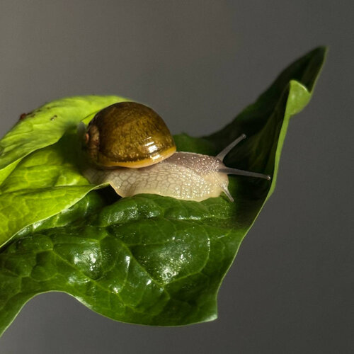 2025-04-02 20.36.50.jpg