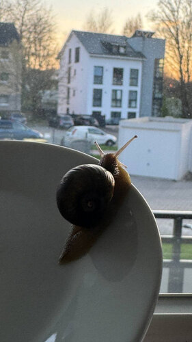 2025-04-02 20.36.57.jpg